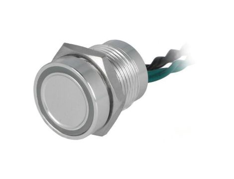 Przełącznik piezoelektryczny Poz: 2 SPST-NO 0,2A24VAC IP68 PS165P10YNT1G12V