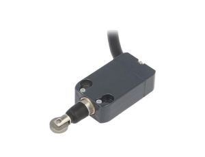 Wyłącznik krańcowy rolka metalowa Ø12mm NO + NC 10A NA B110BE-DN2