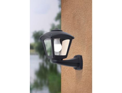 Oprawa elewacyjna kinkiet NARDO/ROBY CLEAR Fumagalli E27 wys.275 mm, szer.260 mm IP55 230V czarny / tworzywo sztuczne - 5