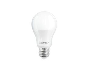 Żarówka LED E27 A65 15W 2025lm 3000K