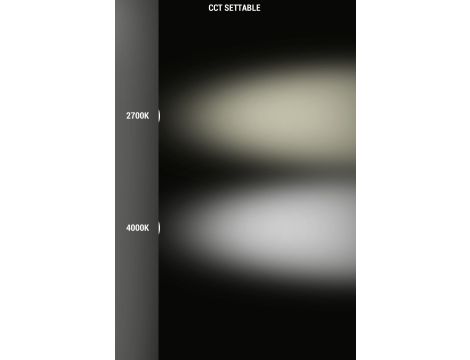 Źródło światła Fumagalli LED CCT GU10 2,9W 2700K/4000K 390lm 230V biały / tworzywo sztuczne - 2
