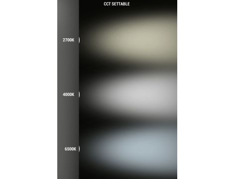 Źródło światła Fumagalli LED CCT R7S 118mm 7,5W 790lm 2700K/4000K/6500K 230V biały / tworzywo sztuczne - 3