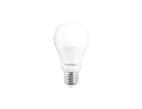 Żarówka LED E27 A60 2,5W 275lm 6500K