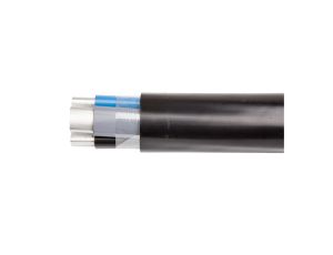 Kabel energetyczny YAKY 4x25 0,6/1kV SE /bębnowy/
