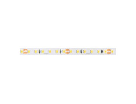Taśma LED 600 SMD 24V 6500K neutralna 9,6W 5 lat gwar. /5m/