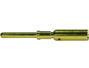 Styk M12 męski złocony 0,75mm 21011009928
