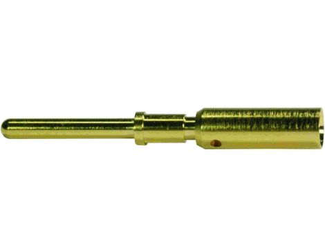 Styk M12 męski złocony 0,75mm 21011009928
