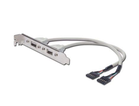 Kabel 2xIDC (5pin)/2xUSB A M/Ż szary 0,25m USB 2.0 HighSpeed AK-300301-002-E