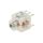 Element stykowy Styki: NC x2 IP00 3mm BZLOO5_AU