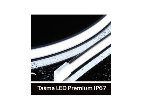 Taśma LED Premium 24V 320led/m COB 10W/m 6500K IP67 700lm/m 10mm CRI90 3Y 50m