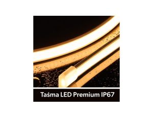 Taśma LED Premium 24V 320led/m COB 10W/m 3000K IP67 700lm/m 10mm CRI90 3Y 50m