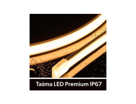 Taśma LED Premium 24V 320led/m COB 10W/m 3000K IP67 700lm/m 10mm CRI90 3Y 50m