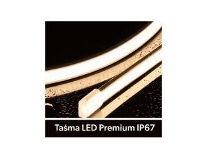 Taśma LED Premium 24V 320led/m COB 10W/m 4000K IP67 700lm/m 10mm CRI90 3Y 50m