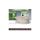 Taśma Premium 12V 60led zielona SMD2835 100m