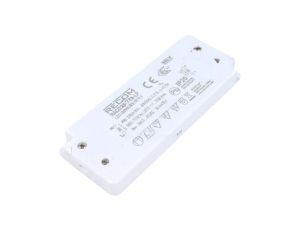 Zasilacz impulsowy, LED, 2...31VDC, 0,7A, IP20, listwa zaciskowa, RACD20-700-LP