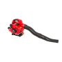 AWTOOLS DMUCHAWA SPALINOWA 0.9kW / 1,2KM GB926 - 7