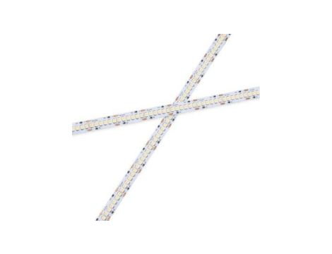 Greenie Taśma LED 240 diod 2835SMD 18,8W/mb 24V barwa biała naturalna 5m, TL219NW-24V