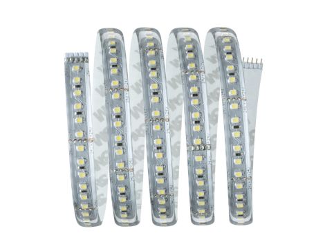 MaxLED 1000 zestaw podstawowy 1,5m światło dzienne 17W 230/24V 36VA Tworzywo sztuczne - 2