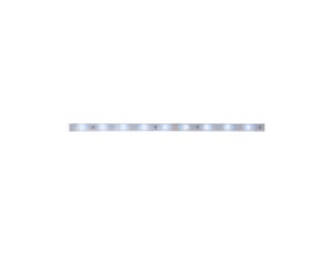 Taśma MaxLED 250 Strip 1m światło dzienne IP44 6500K 4W 230/24V srebrny / tworzywo sztuczne