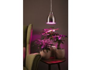 Lampa wisząca Neordic Hilla max.1x40W DIM E27 230V żelazo szczotkowane / metal - image 2