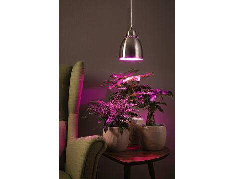 Lampa wisząca Neordic Hilla max.1x40W DIM E27 230V żelazo szczotkowane / metal - 2
