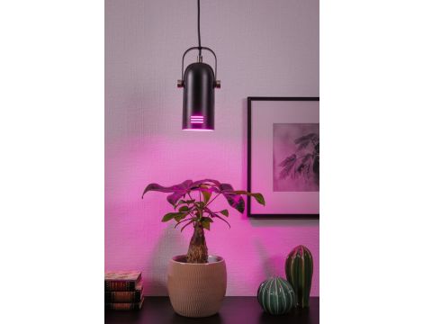 Neordic Lavea  lampa wisząca max. 1x15W E27 czarny 230V metal - 2