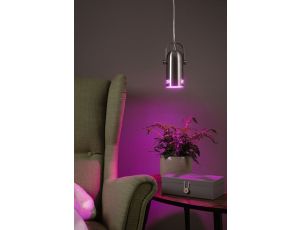 Neordic Lavea  lampa wisząca max. 1x15W E27 żelazo szczotkowane 230V metal - image 2