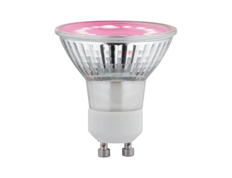 Źródło światła prowzrostowe LED Plant GU10 3,5W 95lm 1100K grow green 230V szkło