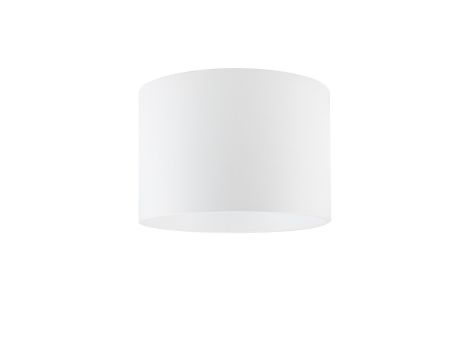 Adapter natynkowy do opraw downlight  DL28/38W - 2