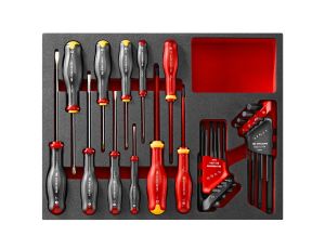 Facom - Matrix Foam Modułes Screwdrivers Keys - F50031049