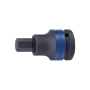 King Tony - NASADKA UDAROWA Z KOŃCÓWKĄ HEX 1" 22mm x 93mm - 809622M22H - 2