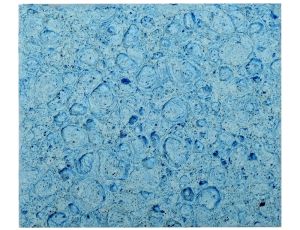 YATO - GĄBKA DO STACJI LUTOW. 50X45MM 3 SZT. - YT-82467 - image 2