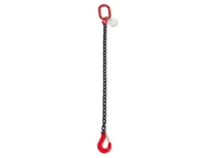 BETA - Zawiesie łańcuchowe jednocięgnowe, w skrzynce 6mm/2M - 8091/1/6MM/2M