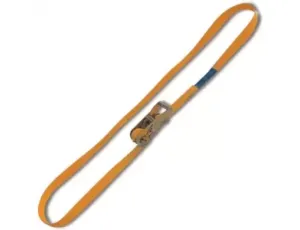 BETA - Pas mocujący zamknięty, napinacz zapadkowy 750kg 25mm (5m)   - 8185/5M