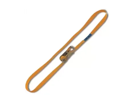 BETA - Pas mocujący zamknięty, napinacz zapadkowy 750kg 25mm (8m)   - 8185/8M