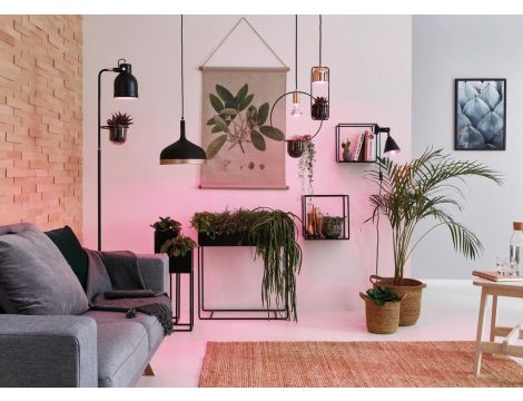 Lampa stołowa z doniczką NEORDIC FANJA GU10 max.1x20W 230V czarny / miedziany / metal - 3