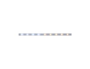 Taśma MaxLED 250 Strip 1m regulacja temperatury IP44 3.5W 230/24V srebrny / tworzywo sztuczne