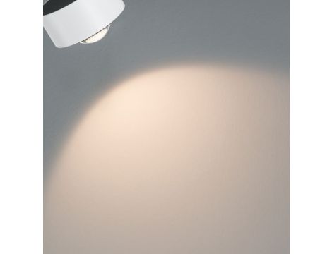 Reflektor na szynoprzewód URail ALDAN DIM 8W 498lm 2700K 230V biały  /  metal - 7