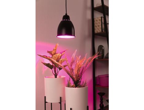 Lampa wisząca Neordic Hilla max.1x40W DIM E27 230V czarny / metal - 3