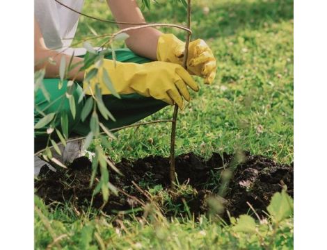 Świder ziemny Scheppach EB2000 spalinowy - 8