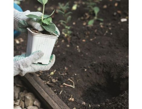 Świder ziemny Scheppach EB2000 spalinowy - 12