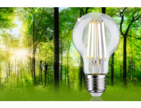 Źródło światła LED AGL 60 2.5W 525lm E27 3000K 230V przezroczysty / szkło - 2