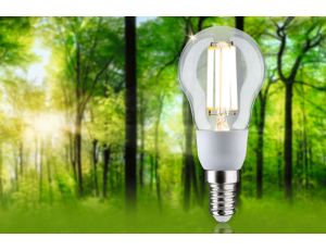 Źródło światła LED ECO LINE G45 2.5W 525lm E14 3000K 230V przezroczysty / szkło - image 2