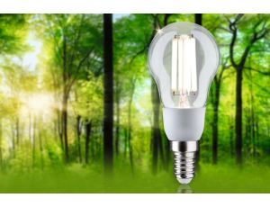 Źródło światła LED ECO LINE G45 2.5W 525lm E14 4000K 230V przezroczysty / szkło - image 2