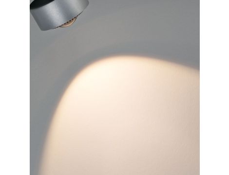 Reflektor na szynoprzewód URail ALDAN 8W 500lm 2700K-6500K 230V chrom matowy / metal - 8