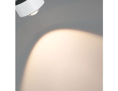 Reflektor na szynoprzewód URail ALDAN 8W 500lm 2700K-6500K 230V biały / metal - 12