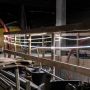 Elastyczna lampa linowa 25 m 48 V 20 000 lm ROPE LIGHT 03.5815 - 8