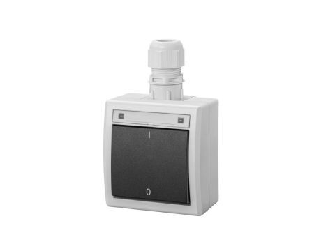 AQUANT 2K łącznik natynkowy 2-biegunowy IP65 szary 5003-65