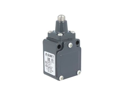 FC311 Wyłącznik krańcowy trzpień Ø10mm NO + NC 6A 400VAC PG11 IP67