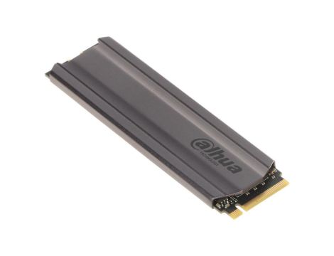 Dysk SSD SSD-C900VN256G 256GB M.2 PCIe